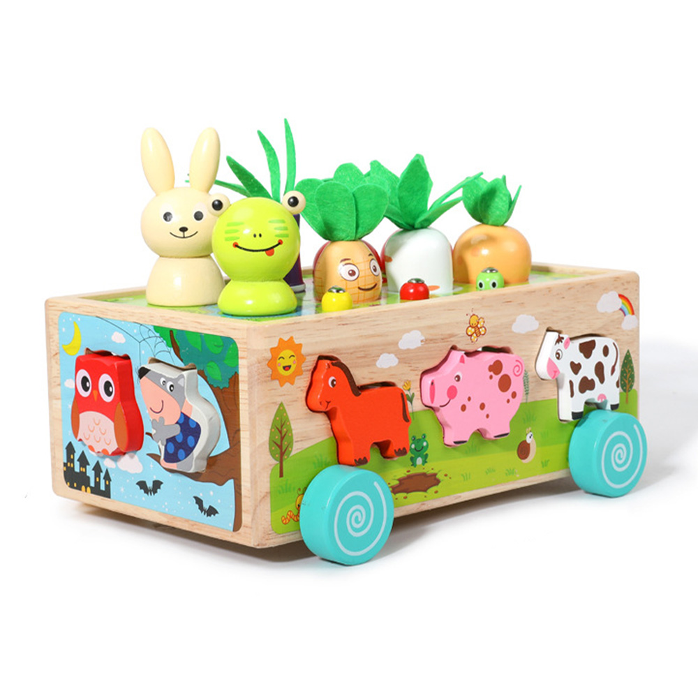 Kids Nature Education - Assortimento di forme in legno abbinamento