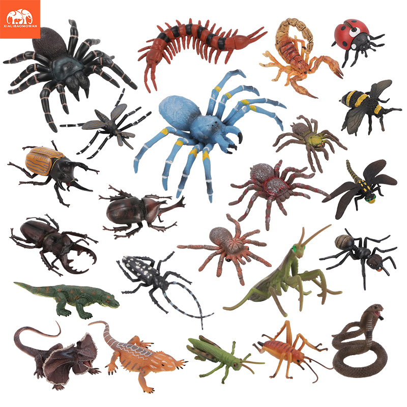 Kids First Education - Set di Action Figure Educative di