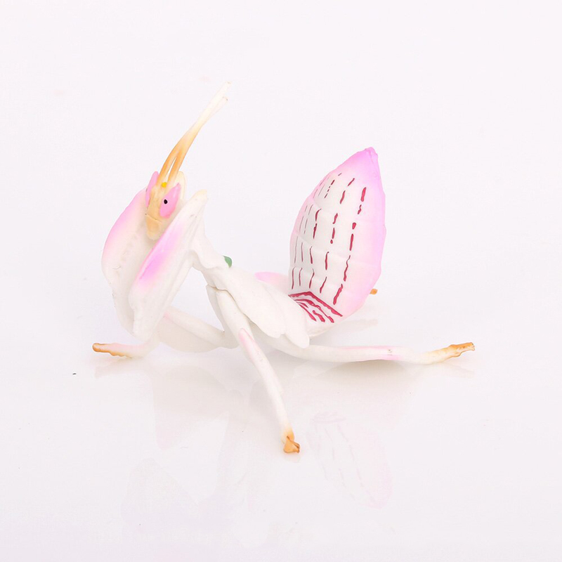 Giocattolo animale realistico  - Orchid Kids Education recensione e prezzo