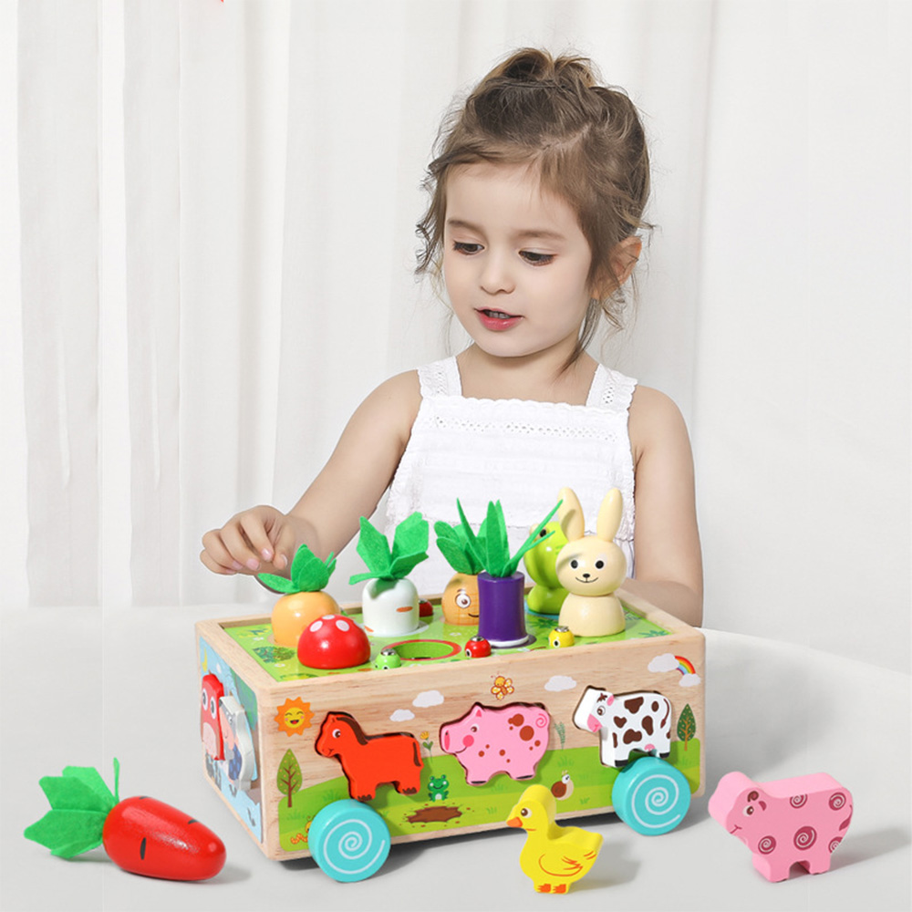 Assortimento di forme in legno - Kids Nature Education recensione e prezzo
