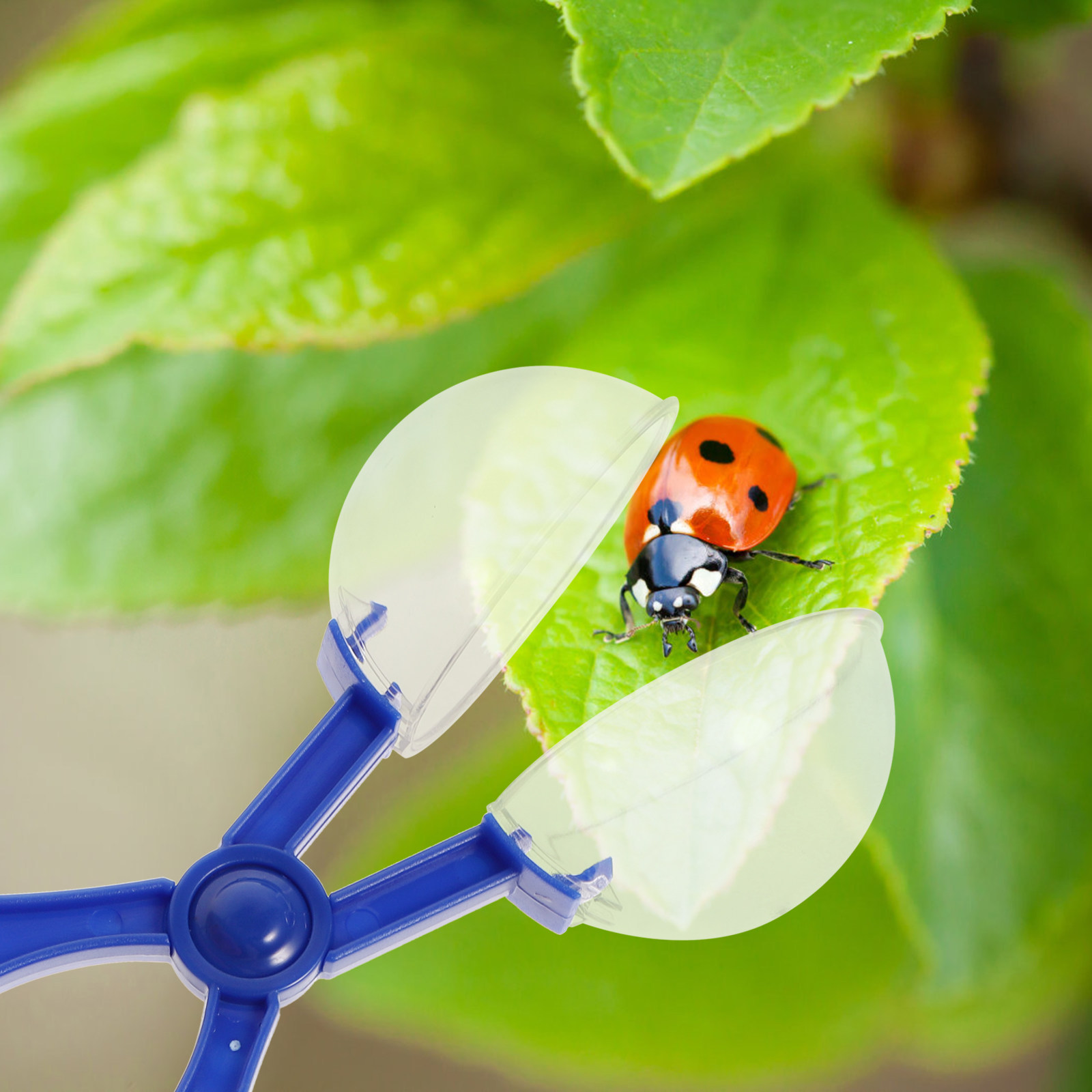8 Pezzi Forbici per Catturare  - Kids Nature Education recensione e prezzo