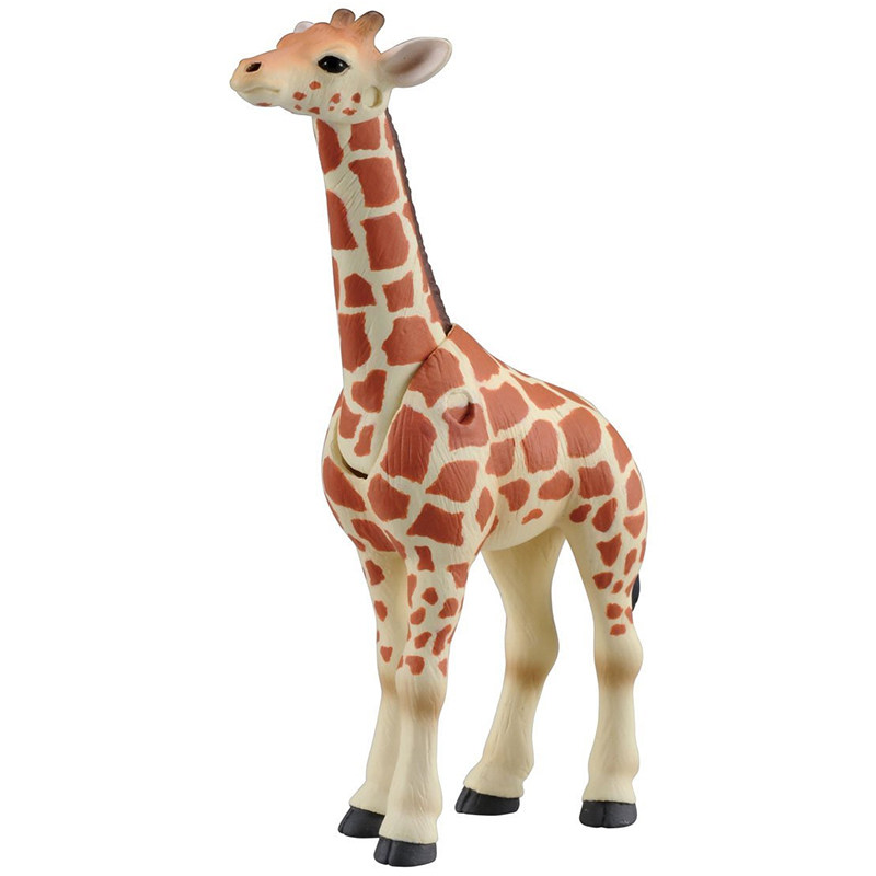 Originale Takara Tomy Ania Gir - Kids First Education recensione e prezzo