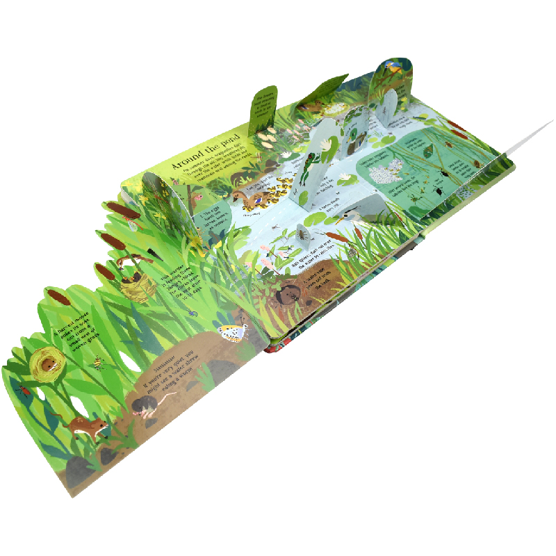 Inglese Montessori 3D Usborne  - Kids Nature Education recensione e prezzo